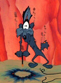 Wile E. Coyote