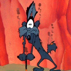 Wile E Coyote Looney Tunes Wiki Fandom