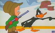 Daffy elmer