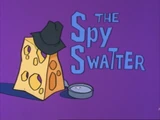 The Spy Swatter