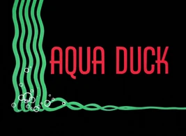 Aqua Duck