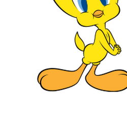 Category:Birds | Looney Tunes Wiki | Fandom