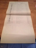 Animator draft