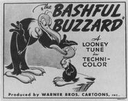 "The Bashful Buzzard"