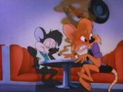 Rhubella And Roderick Rat.jpg