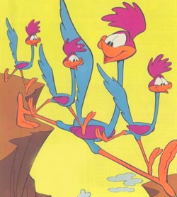 Road Runner, Looney Tunes Wiki