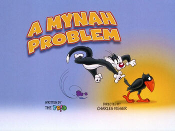 Lt mynah problem