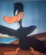 Quacky