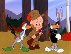 bugs bunny and daffy duck wabbit season