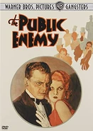(2005) DVD The Public Enemy