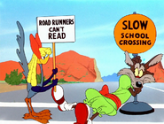 Roadrunners can't Read