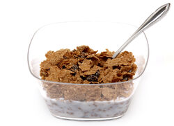 Raisin-Bran-Bowl