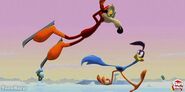 The-New-Looney-Tunes-Road-Runner-Wile-E-Coyote