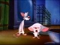 Pinky and Brain in "You Said a Mouseful,"