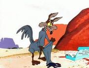 Coyote Dresses as Road Runner