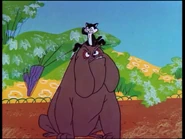 The bulldog and flying cat, whom are often mistaken for Marc Anthony and Pussyfoot in this short