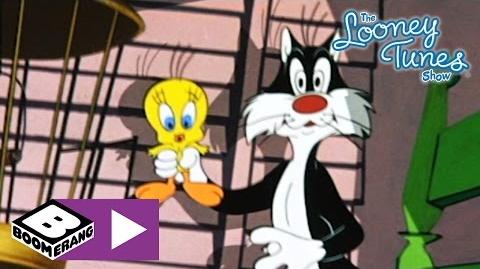 Looney Tunes Tweetie's Lucky Day Boomerang UK