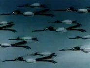 IMG 2589.png (1.15 MB)