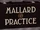 Mallard Practice