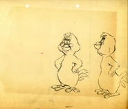 Paw-Chickenhawk-600.jpg (67 KB)