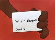 Wile E. Coyote's card