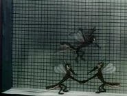 IMG 2612.png (2.44 MB)