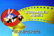 "Scrambled Aches"