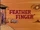 Feather Finger
