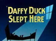 Daffyduckslepthere