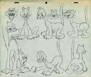 Model sheet for the cat