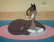 The cat