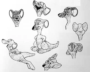 Hippety’s model sheet