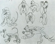 Model sheet