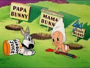 Baby Bugs Bunny and Baby Elmer Fudd