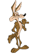 Wile E. Coyote