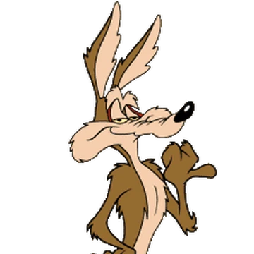 pix Wile E Coyote Cliff Edge wile e coyote looney tunes wiki fandom
