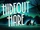 Hideout Hare