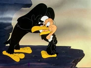 BashfulBuzzard4.jpg (22 KB)