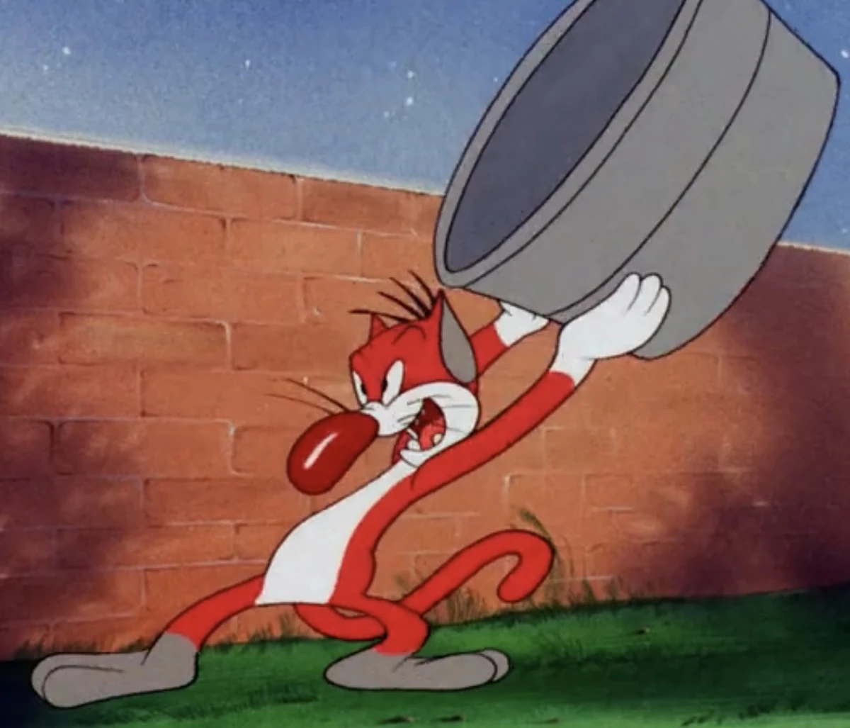 Colonel | Looney Tunes Wiki | Fandom