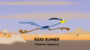 Portal Kombat Road Runner