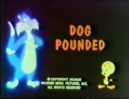 "Dog Pounded"