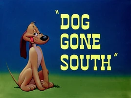 Doggone South Remastered TC