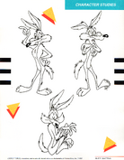 Wile E. Coyote/Gallery/Model Sheets and Style Guides | Looney Tunes ...