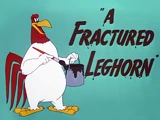 A Fractured Leghorn