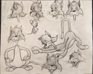 Model sheet