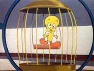 Tweety1