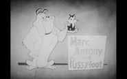 Marc Anthony and Pussyfoot in The Bugs Bunny Show.