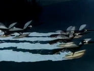 IMG 2607.png (1.45 MB)