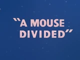 A Mouse Divided