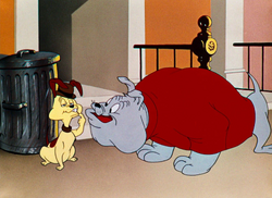Chester Looney Tunes Wiki Fandom